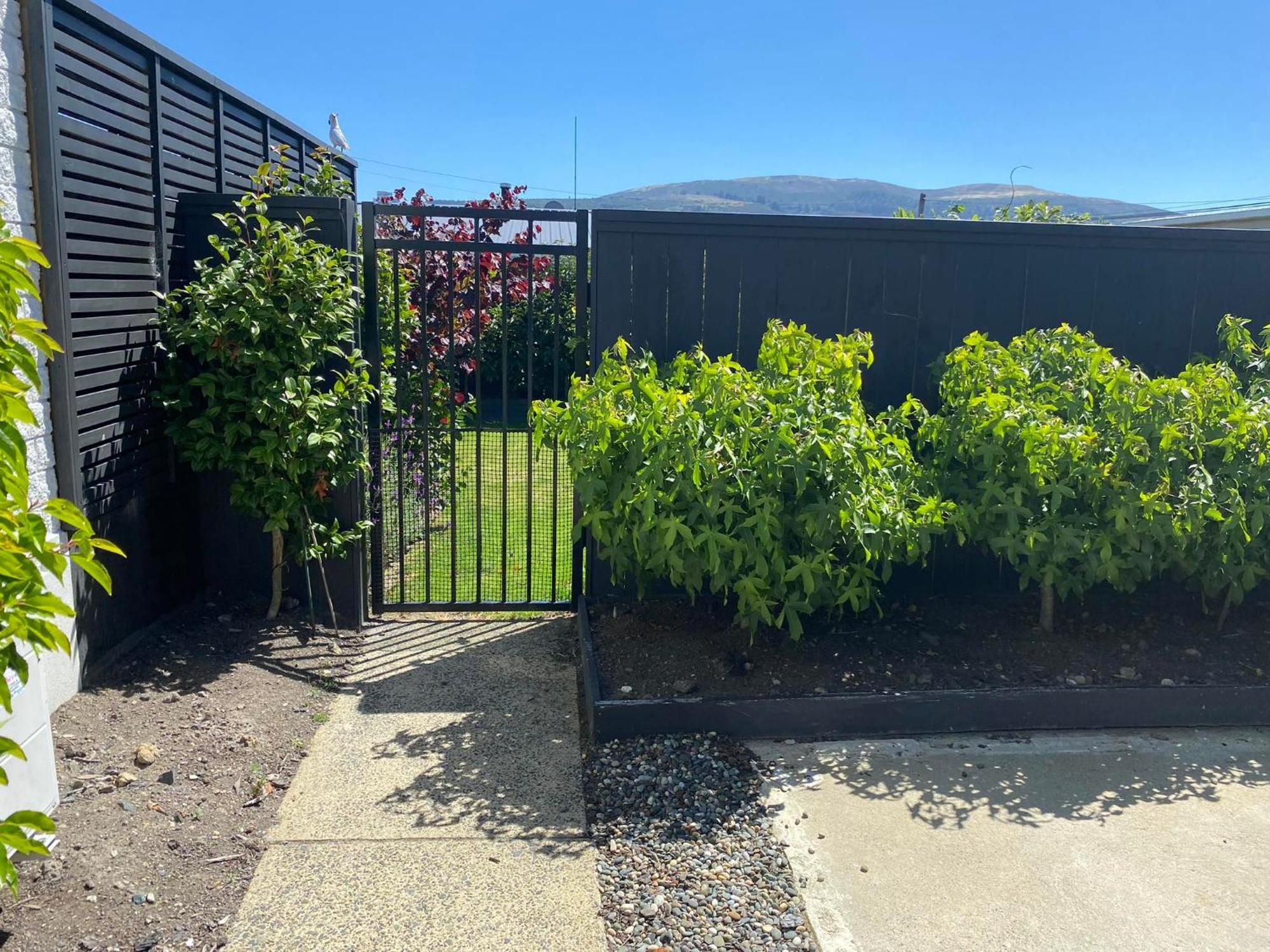 Roslyn Sanctuary Hereford St Apartment Dunedin